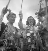 Studentexamen. Den 15 maj 1950