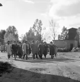 Reklammän från Stockholm på rundtur i Gävle hamn, den 31 maj 1950