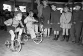 Cykeltävling för barn på Rotundan den 30 maj 1950