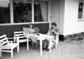 Storvik-Hammarby. Kvinnor sitter ute och läser Gefle Dagblad. Den 8 juni 1950
