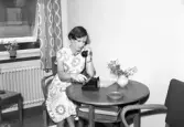 Telegrafverket invigs Juni 1950
