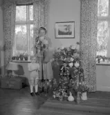 Olsson, realexamen 1950. Taget i bostaden