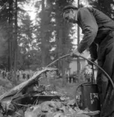 Flygolycka vid Karskär. Den 29 augusti 1950. Röjningsarbete.