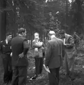 Flygolycka vid Karskär. Den 29 augusti 1950