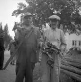 Flygolycka vid Karskär. Den 29 augusti 1950. Röjning pågår.