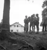 Flygolycka vid Karskär. Den 29 augusti 1950. Barn tittar på olycksplatsen.