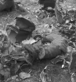 Flygolycka vid Karskär. Den 29 augusti 1950