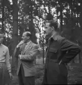 Flygolycka vid Karskär. Den 29 augusti 1950