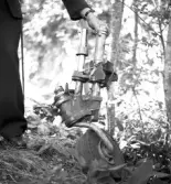 Tågolycka vid Forsbacka station den 16 juli 1950