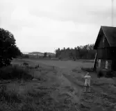 Köping sf Norsa RAÄ 131 Platsen för grav 1 undersökt 1964 av E. Nordahl