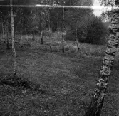 Köping sf Norsa RAÄ 131 Platsen för grav 1 undersökt 1964 av E. Nordahl