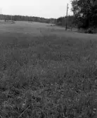 Köping sf Norsa RAÄ 131 Platsen för grav 1 undersökt 1964 av E. Nordahl