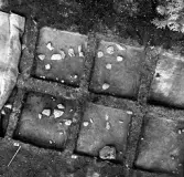 Socken: Köping sf Norsa RAÄ 131 Grav 1 undersökt 1964 av E. Nordahl