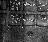 Socken: Köping sf Norsa RAÄ 131 Grav 1 undersökt 1964 av E. Nordahl