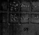 Socken: Köping sf Norsa RAÄ 131 Grav 1 undersökt 1964 av E. Nordahl