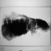 Socken: Köping sf Norsa RAÄ 131 Grav 1 undersökt 1964 av E. Nordahl