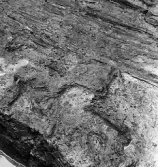 Köping sf Norsa RAÄ 131 Grav 1 undersökt hösten 1964 av E. Nordahl