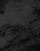 Köping sf Norsa RAÄ 131 Grav 1 undersökt hösten 1964 av E. Nordahl