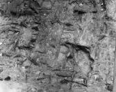 Köping sf Norsa RAÄ 131 Grav 1 undersökt hösten 1964 av E. Nordahl