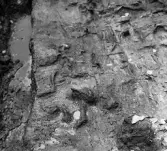 Köping sf Norsa RAÄ 131 Grav 1 undersökt hösten 1964 av E. Nordahl