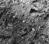 Köping sf Norsa RAÄ 131 Grav 1 undersökt 1964 av E. Nordahl