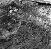 Köping sf Norsa RAÄ 131 Grav 1 undersökt 1964 av E. Nordahl