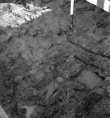 Köping sf Norsa RAÄ 131 Grav 1 undersökt 1964 av E. Nordahl