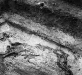 Köping sf Norsa RAÄ 131 Grav 1 undersökt 1964 av E. Nordahl