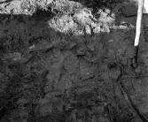 Köping sf Norsa RAÄ 131 Grav 1 undersökt 1964 av E. Nordahl