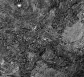 Köping sf Norsa RAÄ 131 Grav 1 undersökt hösten 1964 av E. Nordahl