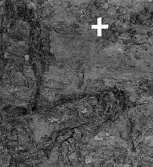 Köping sf Norsa RAÄ 131 Grav 1 undersökt hösten 1964 av E. Nordahl