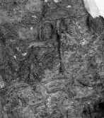 Köping sf Norsa RAÄ 131 Grav 1 undersökt hösten 1964 av E. Nordahl