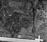 Köping sf Norsa RAÄ 131 Grav 1 undersökt hösten 1964 av E. Nordahl