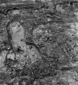 Köping sf Norsa RAÄ 131 Grav 1 undersökt hösten 1964 av E. Nordahl