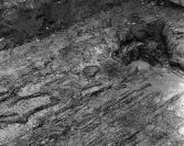 Köping sf Norsa RAÄ 131 Grav 1 undersökt hösten 1964 av E. Nordahl