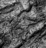 Köping sf Norsa RAÄ 131 Grav 1 undersökt hösten 1964 av E. Nordahl