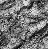 Köping sf Norsa RAÄ 131 Grav 1 undersökt hösten 1964 av E. Nordahl