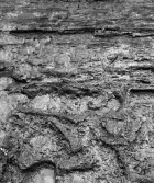 Köping sf Norsa RAÄ 131 Grav 1 undersökt hösten 1964 av E. Nordahl