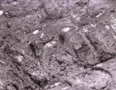 Köping sf Norsa RAÄ 131 Grav 1 undersökt hösten 1964 av E. Nordahl