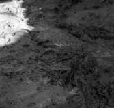 Köping sf Norsa RAÄ 131 Grav 1 undersökt hösten 1964 av E. Nordahl