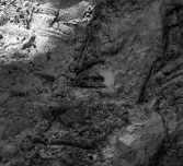 Köping sf Norsa RAÄ 131 Grav 1 undersökt hösten 1964 av E. Nordahl