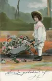 Brevkort adresserat till sjuksköterskan Amanda Palm 1905.
Motiv av en pojke som skjuter fram en skottkärra full med blommor.
Text på framsidan: 