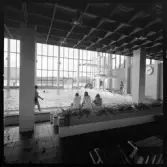 Växjö Simhall
Interiör