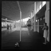 Växjö Simhall
Interiör