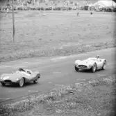 Stor och stark jagar liten och mindre stark. Gelleråsen, Karlskoga.1956-08-25