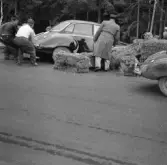 Besök bland halmbuntarna. Gelleråsen, Karlskoga. 1956-08-25