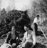 Vila vid utflykt, 1950-tal