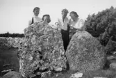 Fyra vänner gömmer sig bakom stora stenar, 1951