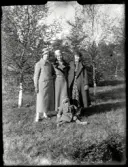 Inga, Ingegerd och Harriet Bergqvist