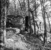 Flyttblock i skogen runt Årstad